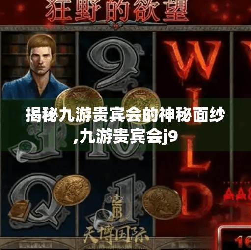 揭秘九游贵宾会的神秘面纱,九游贵宾会j9