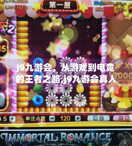 J9九游会，从游戏到电竞的王者之路,j9九游会真人国际第一