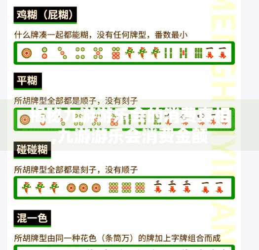 揭秘九游游乐会的消费真相,九游游乐会消费金额