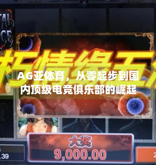 AG亚体育，从零起步到国内顶级电竞俱乐部的崛起之路,ag亚洲游转九游会