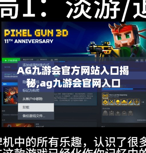 AG九游会官方网站入口揭秘,ag九游会官网入口