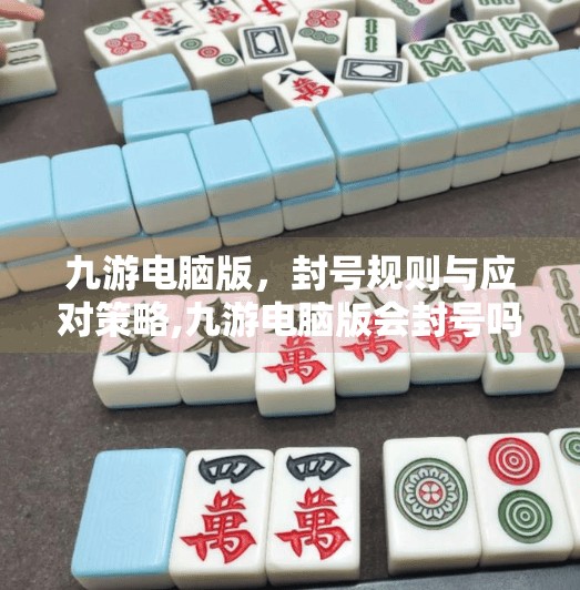 九游电脑版，封号规则与应对策略,九游电脑版会封号吗