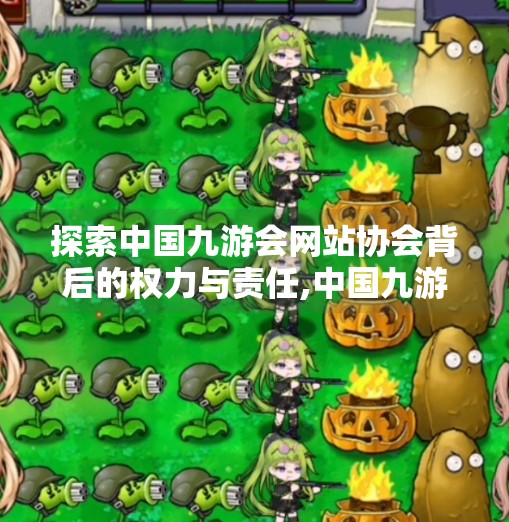 探索中国九游会网站协会背后的权力与责任,中国九游会网站协会主管
