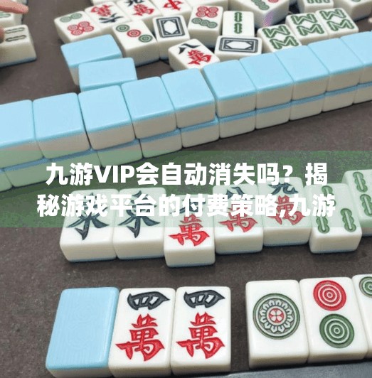 九游VIP会自动消失吗？揭秘游戏平台的付费策略,九游vip会自动消失吗