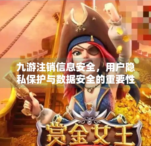 九游注销信息安全，用户隐私保护与数据安全的重要性,九游注销的信息会泄露吗