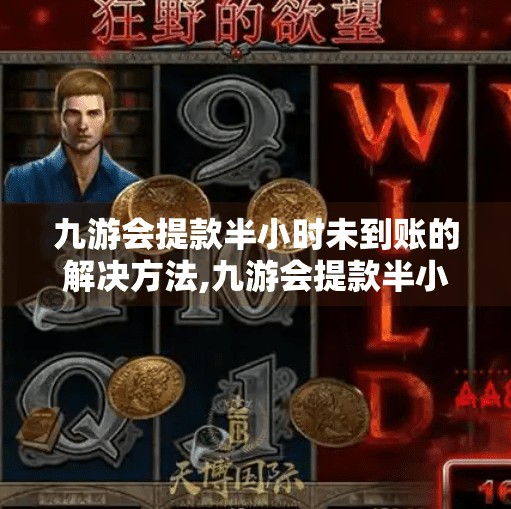 九游会提款半小时未到账的解决方法,九游会提款半小时没到账