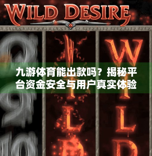 九游体育能出款吗？揭秘平台资金安全与用户真实体验,九游体育能出款吗