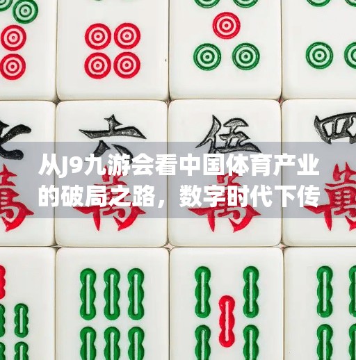 从J9九游会看中国体育产业的破局之路，数字时代下传统品牌的自我进化,j9九游会(中国)官方网站