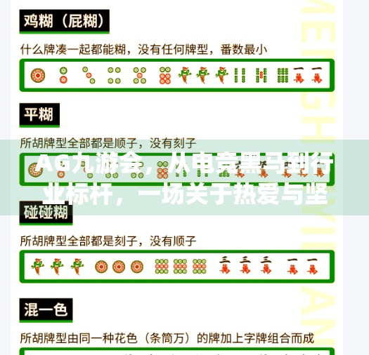AG九游会，从电竞黑马到行业标杆，一场关于热爱与坚持的传奇征程,ag 九游会 ag